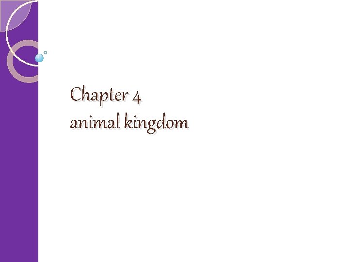 Chapter 4 animal kingdom 