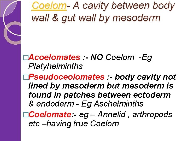 Coelom- A cavity between body wall & gut wall by mesoderm �Acoelomates : -