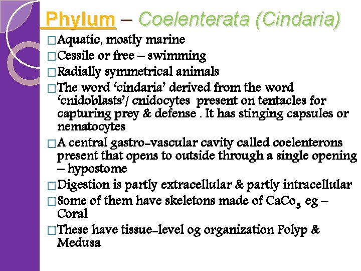  Phylum – Coelenterata (Cindaria) �Aquatic, mostly marine �Cessile or free – swimming �Radially