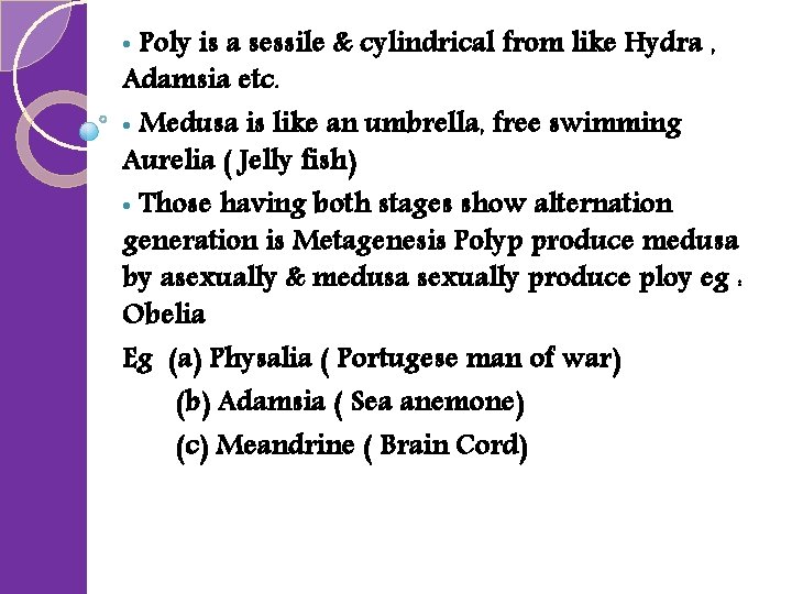  • Poly is a sessile & cylindrical from like Hydra , Adamsia etc.