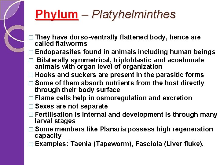 Phylum – Platyhelminthes � They have dorso-ventrally flattened body, hence are called flatworms �