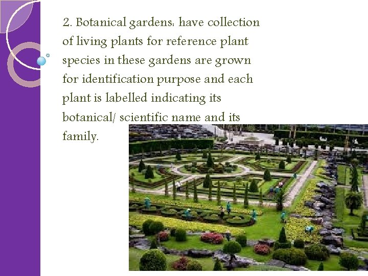 2. Botanical gardens: have collection of living plants for reference plant species in these