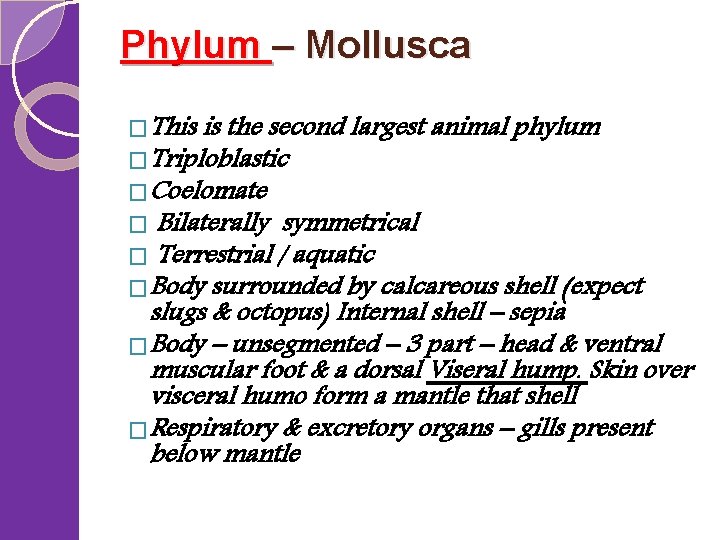 Phylum – Mollusca �This is the second largest animal phylum �Triploblastic �Coelomate � Bilaterally