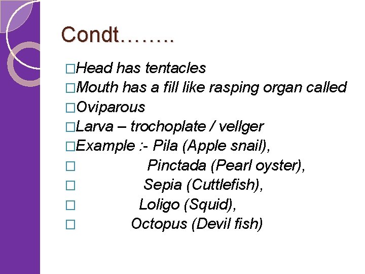 Condt……. . �Head has tentacles �Mouth has a fill like rasping organ called �Oviparous