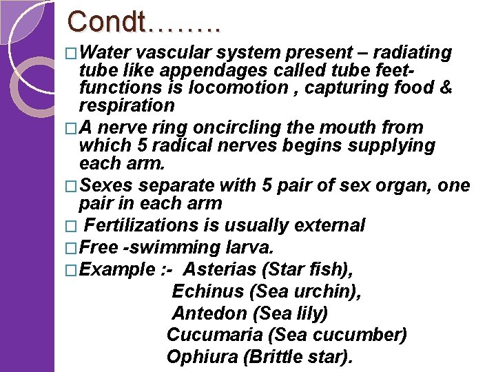 Condt……. . �Water vascular system present – radiating tube like appendages called tube feet-