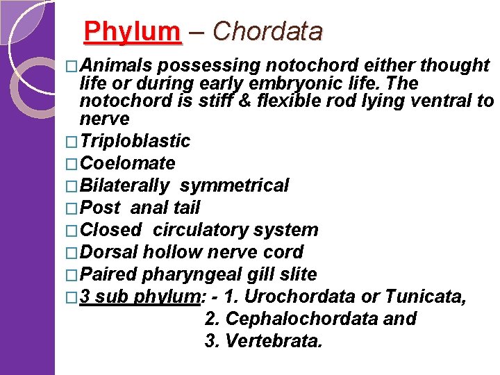 Phylum – Chordata �Animals possessing notochord either thought life or during early embryonic life.