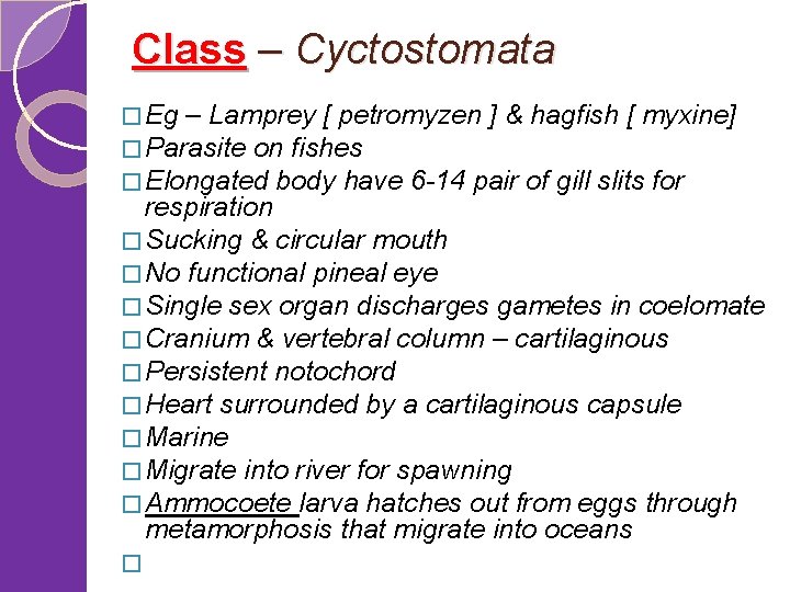 Class – Cyctostomata � Eg – Lamprey [ petromyzen ] & hagfish [ myxine]