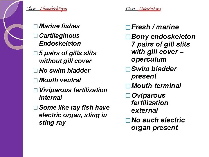 Class – Chondrichthyes Class – Osteichthyes � Marine fishes � Fresh / marine �