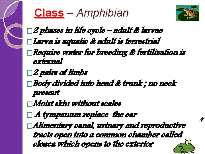 Class – Amphibian � 2 phases in life cycle – adult & larvae �Larva