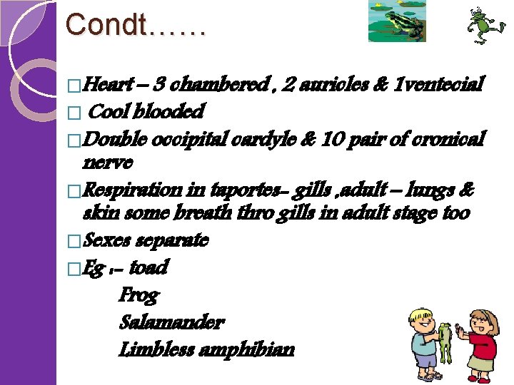 Condt…… �Heart – 3 chambered , 2 auricles & 1 ventecial � Cool blooded