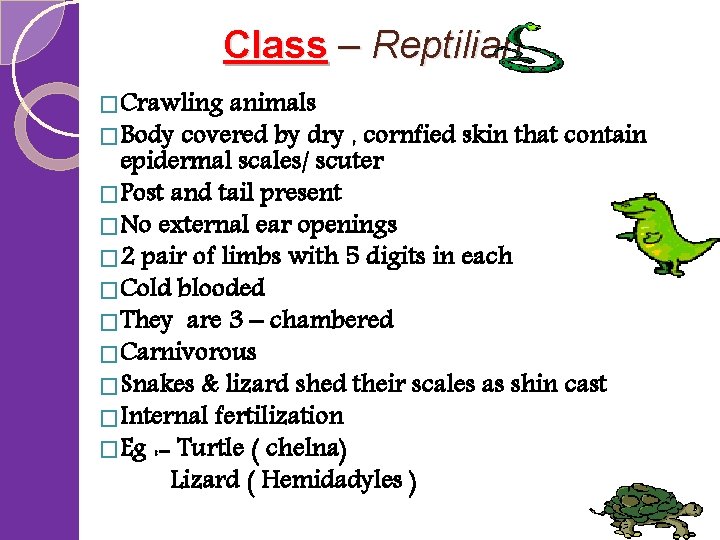 Class – Reptilian �Crawling animals �Body covered by dry , cornfied skin that contain