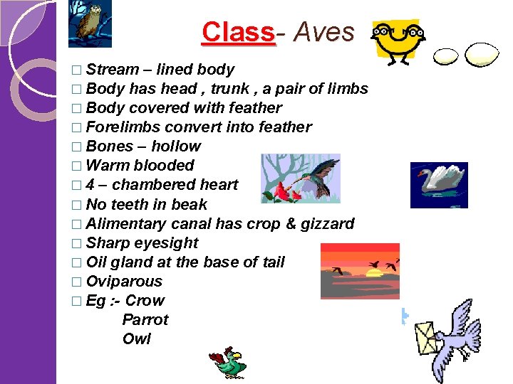  Class- Aves � Stream – lined body � Body has head , trunk