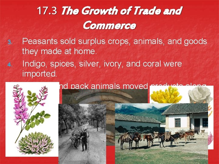 17. 3 The Growth of Trade and Commerce 3. 4. 5. Peasants sold surplus