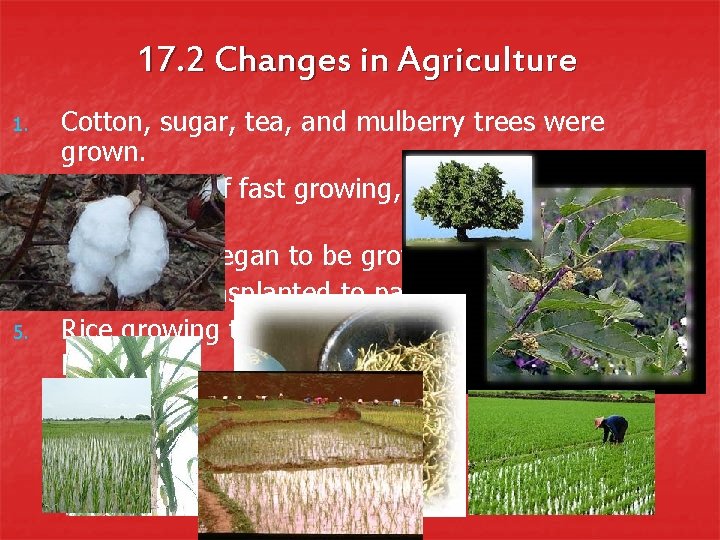 17. 2 Changes in Agriculture 1. 2. 3. 4. 5. Cotton, sugar, tea, and
