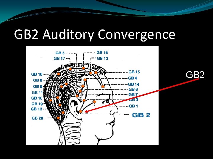 GB 2 Auditory Convergence GB 2 