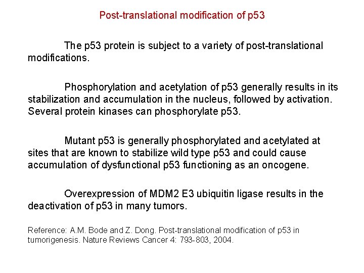 Post-translational modification of p 53 The p 53 protein is subject to a variety