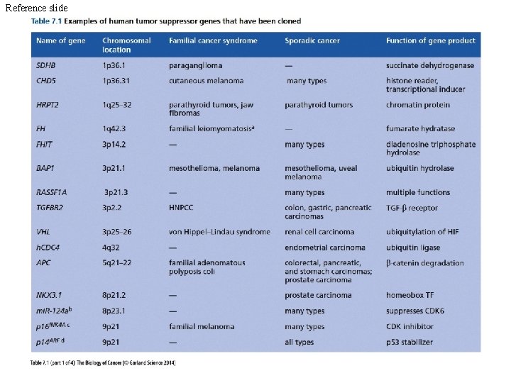 Reference slide 