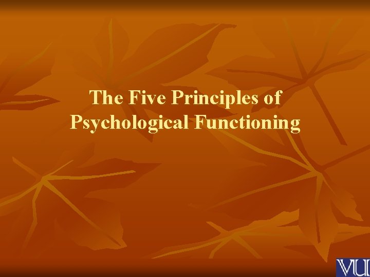 The Five Principles of Psychological Functioning 