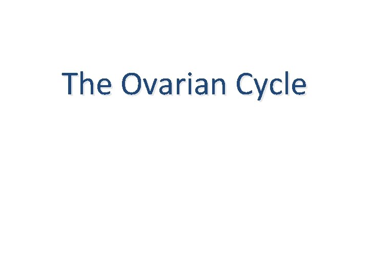 The Ovarian Cycle 