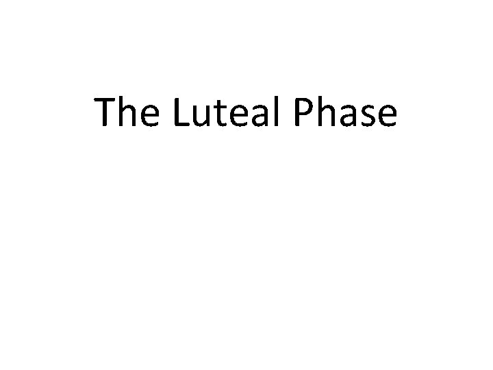 The Luteal Phase 