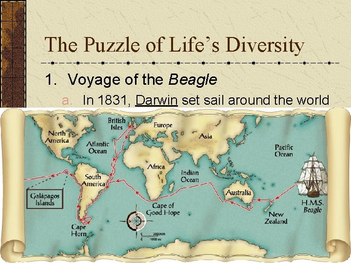 The Puzzle of Life’s Diversity 1. Voyage of the Beagle a. In 1831, Darwin