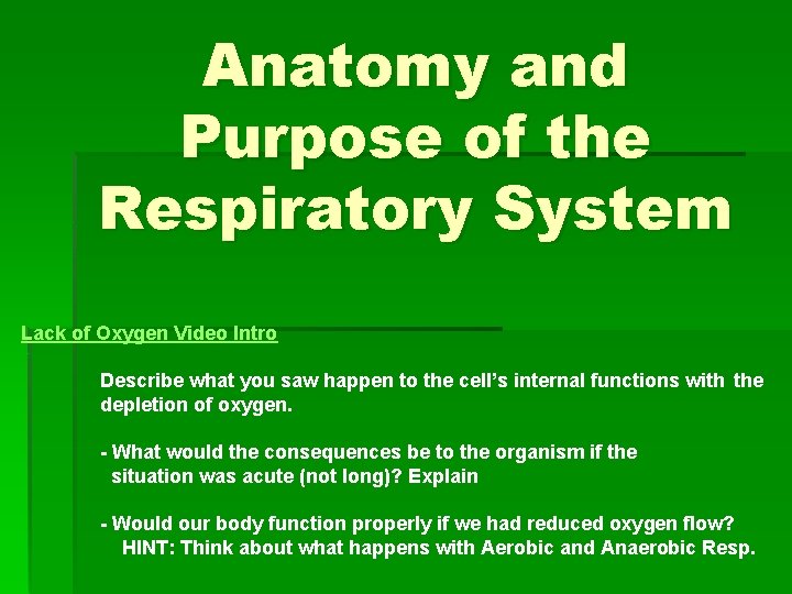 Anatomy and Purpose of the Respiratory System Lack of Oxygen Video Intro Describe what