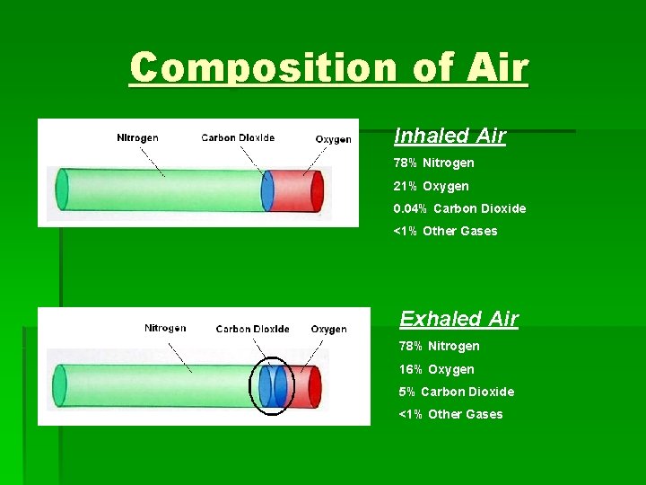 Composition of Air Inhaled Air 78% Nitrogen 21% Oxygen 0. 04% Carbon Dioxide <1%