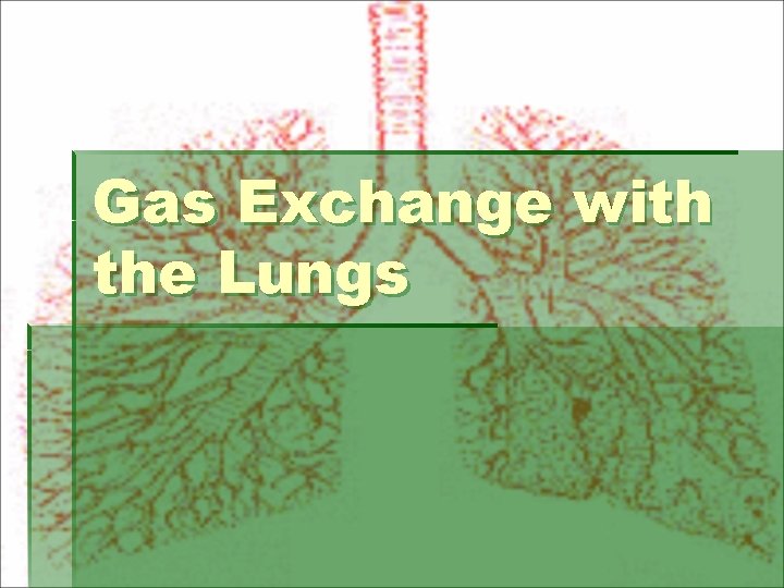 Gas Exchange with the Lungs 