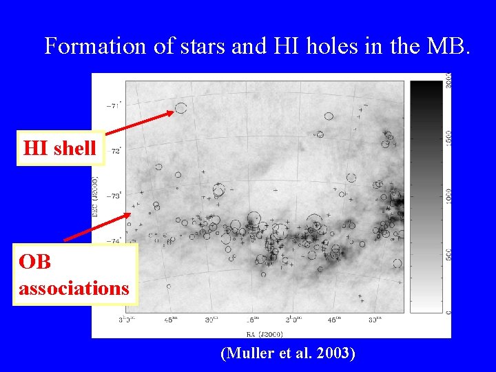 Formation of stars and HI holes in the MB. HI shell OB associations (Muller