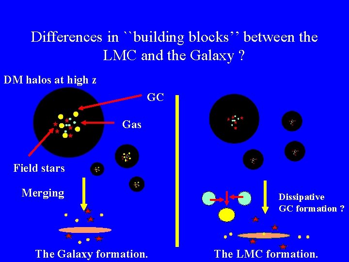 Differences in ``building blocks’’ between the LMC and the Galaxy ? DM halos at