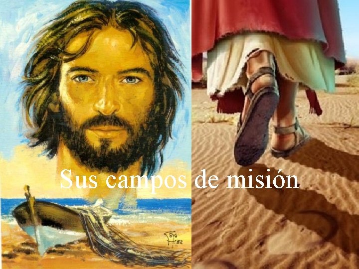 Sus campos de misión 