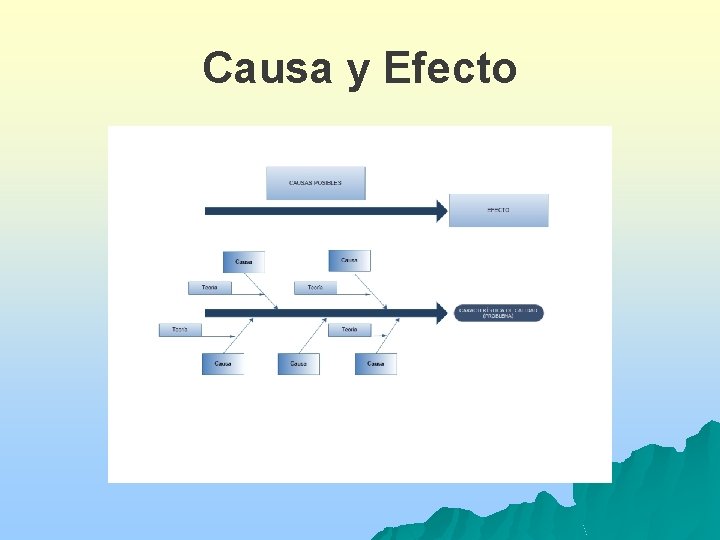 Causa y Efecto 