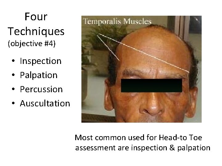 Four Techniques (objective #4) • • Inspection Palpation Percussion Auscultation Most common used for