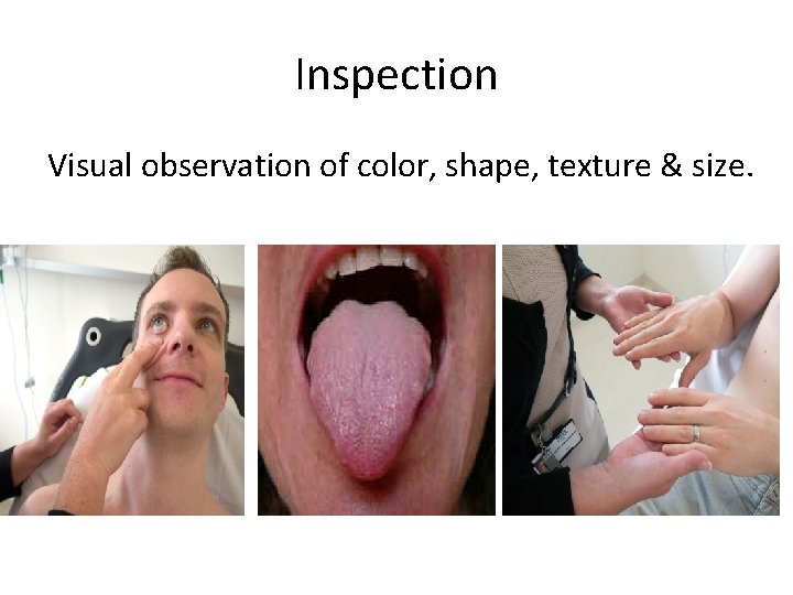 Inspection Visual observation of color, shape, texture & size. 