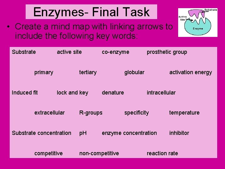 Enzymes- Final Task • Create a mind map with linking arrows to include the