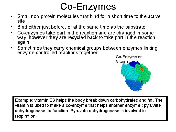 Co-Enzymes • Small non-protein molecules that bind for a short time to the active