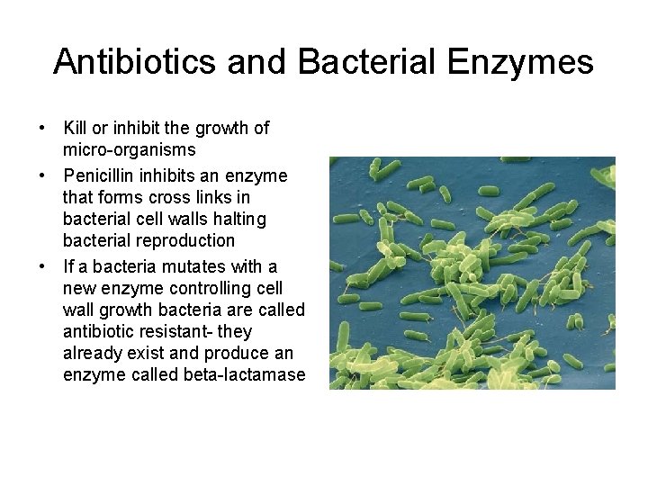 Antibiotics and Bacterial Enzymes • Kill or inhibit the growth of micro-organisms • Penicillin