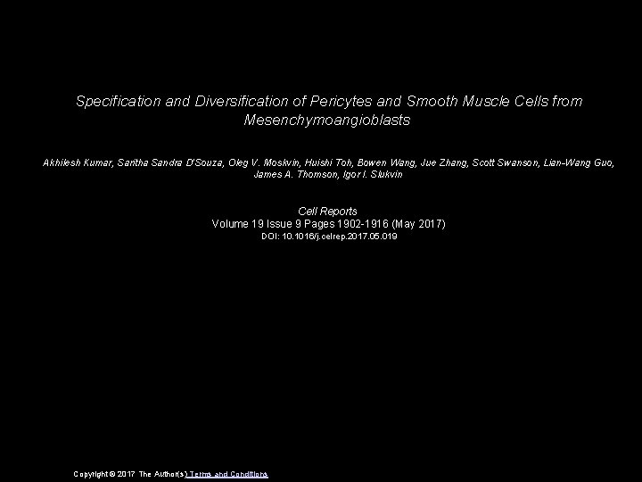 Specification and Diversification of Pericytes and Smooth Muscle Cells from Mesenchymoangioblasts Akhilesh Kumar, Saritha