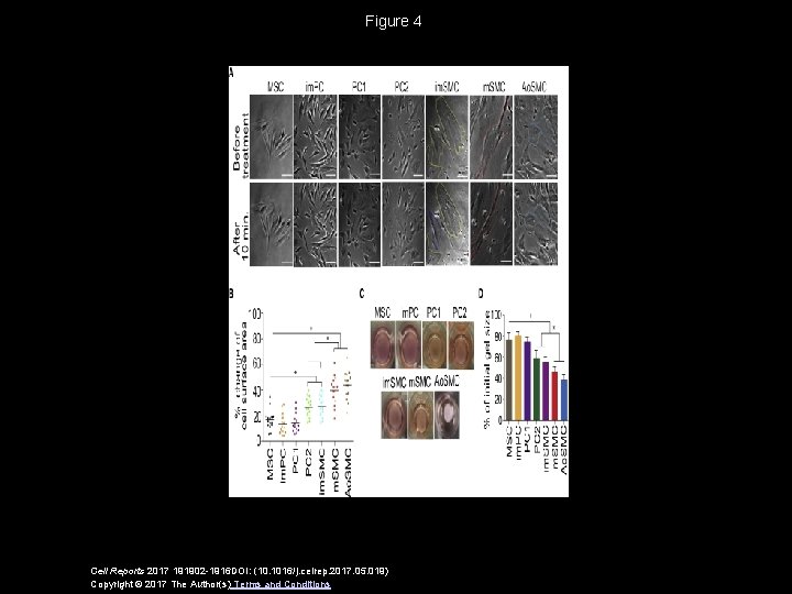 Figure 4 Cell Reports 2017 191902 -1916 DOI: (10. 1016/j. celrep. 2017. 05. 019)