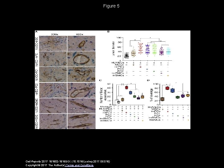 Figure 5 Cell Reports 2017 191902 -1916 DOI: (10. 1016/j. celrep. 2017. 05. 019)