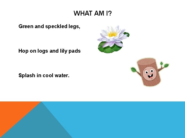 WHAT AM I? Green and speckled legs, Hop on logs and lily pads Splash