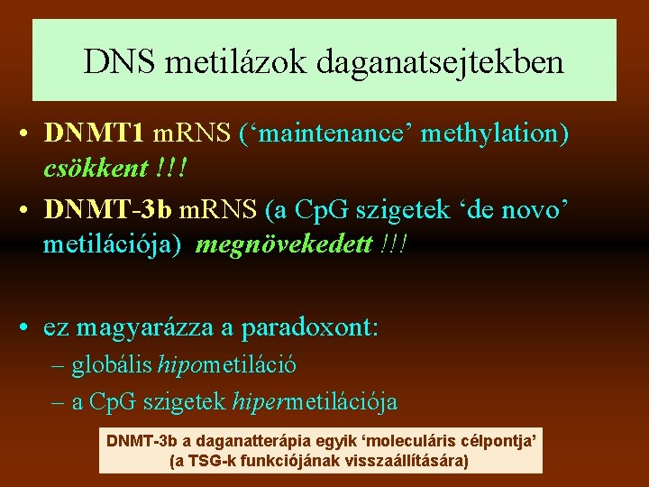 DNS metilázok daganatsejtekben • DNMT 1 m. RNS (‘maintenance’ methylation) csökkent !!! • DNMT-3