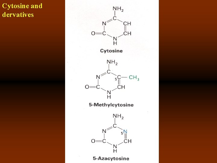 Cytosine and dervatives 