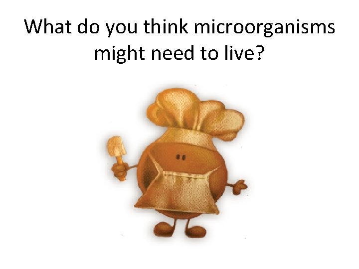 What do you think microorganisms might need to live? 