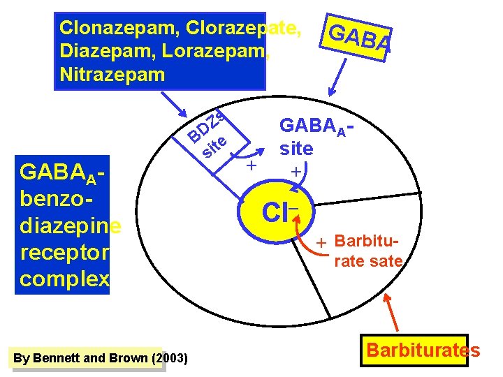 Clonazepam, Clorazepate, Diazepam, Lorazepam, Nitrazepam GABAAbenzodiazepine receptor complex By Bennett and Brown (2003) s