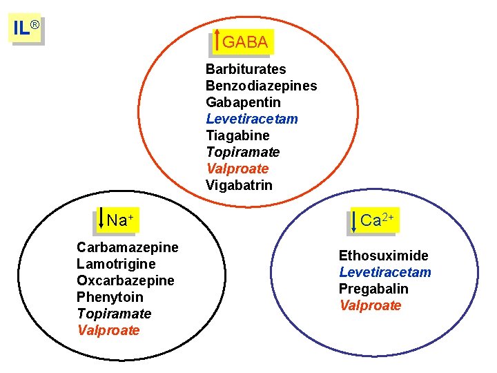 IL® GABA Barbiturates Benzodiazepines Gabapentin Levetiracetam Tiagabine Topiramate Valproate Vigabatrin Na+ Carbamazepine Lamotrigine Oxcarbazepine