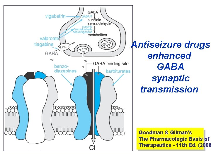 Antiseizure drugs enhanced GABA synaptic transmission Goodman & Gilman's The Pharmacologic Basis of Therapeutics