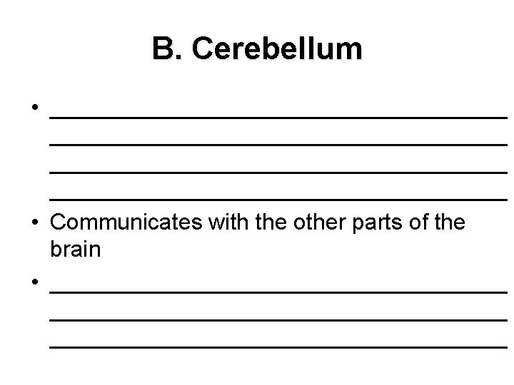 B. Cerebellum • ____________________________________ • Communicates with the other parts of the brain •