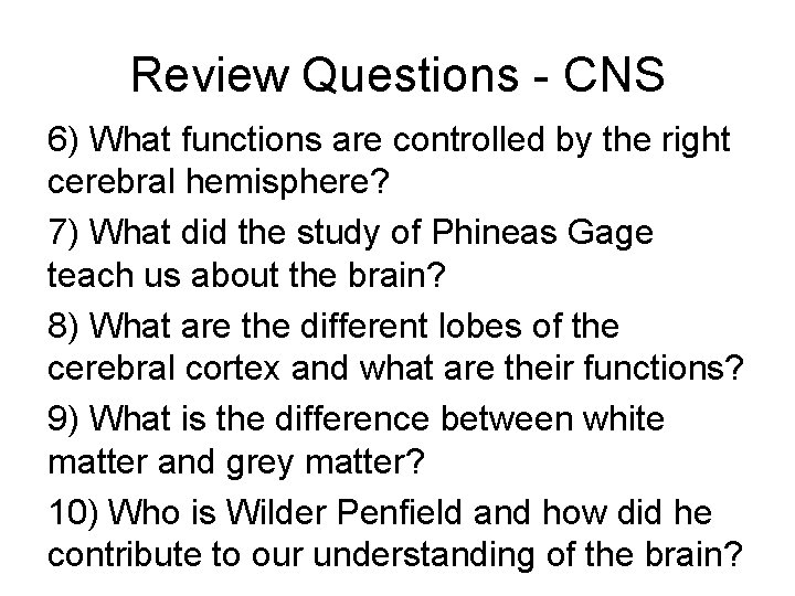 Review Questions - CNS 6) What functions are controlled by the right cerebral hemisphere?