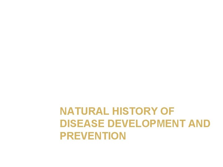 NATURAL HISTORY OF DISEASE DEVELOPMENT AND PREVENTION 